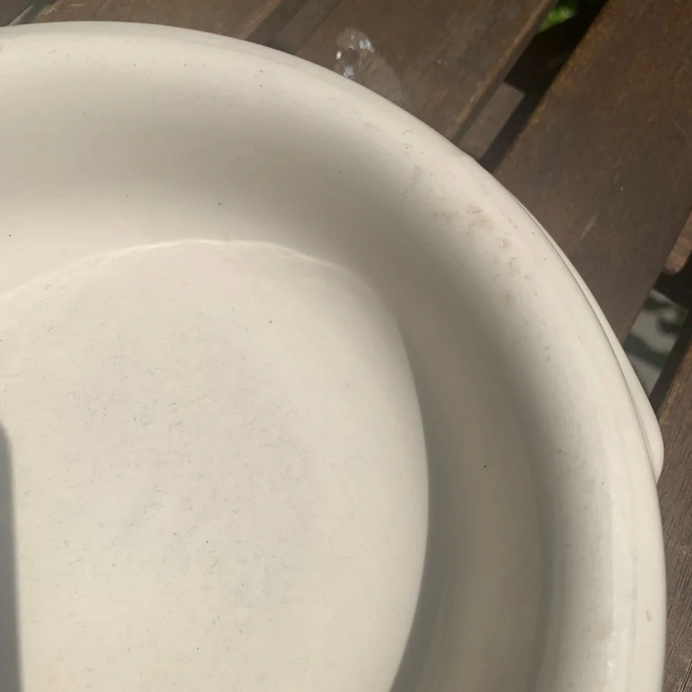 Lillian Vernon Ceramic Dog Bowl